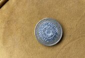 Rare 2013 ER II 2pound coin standing on the shoulder of giants